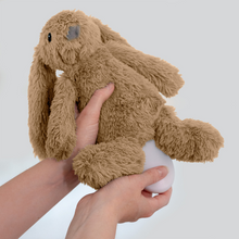 Load image into Gallery viewer, Zazu Baby Sleep Soothers - Ro The Rabbit
