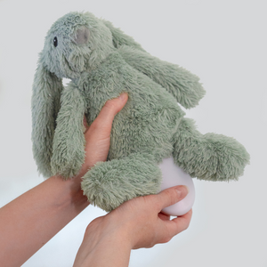 Zazu Baby Sleep Soothers - Ro The Rabbit