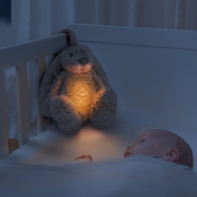 Load image into Gallery viewer, Zazu Baby Sleep Soothers - Ro The Rabbit
