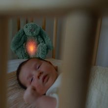 Load image into Gallery viewer, Zazu Baby Sleep Soothers - Ro The Rabbit
