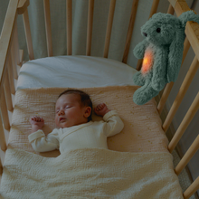 Load image into Gallery viewer, Zazu Baby Sleep Soothers - Ro The Rabbit
